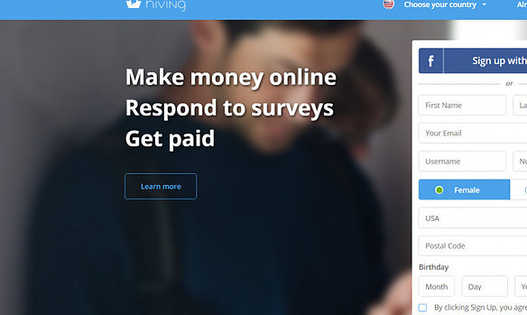 The Hiving Survey Review, How Much Can You Really Make?