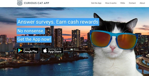 Curious Cat Survey app. Make Money From Your Phone